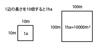 1aと1haの面積の関係